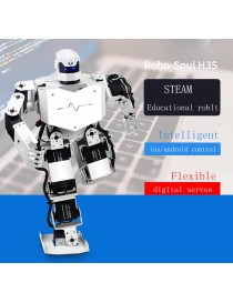 Robo-Soul H3S Humanoid