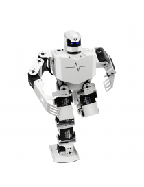 H5S: Humanoid Robot