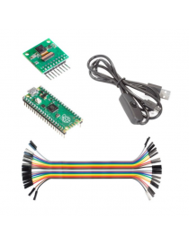 Raspberry Pi Pico Bundle...