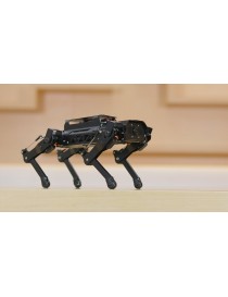 PuppyPi PRO kit Quadruped...