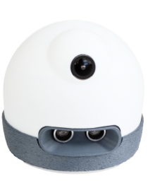 Additional AlphAI robot