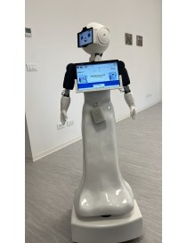 MARRtina - Il social robot...