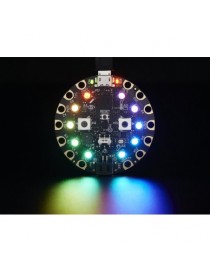 Circuit Playground -...